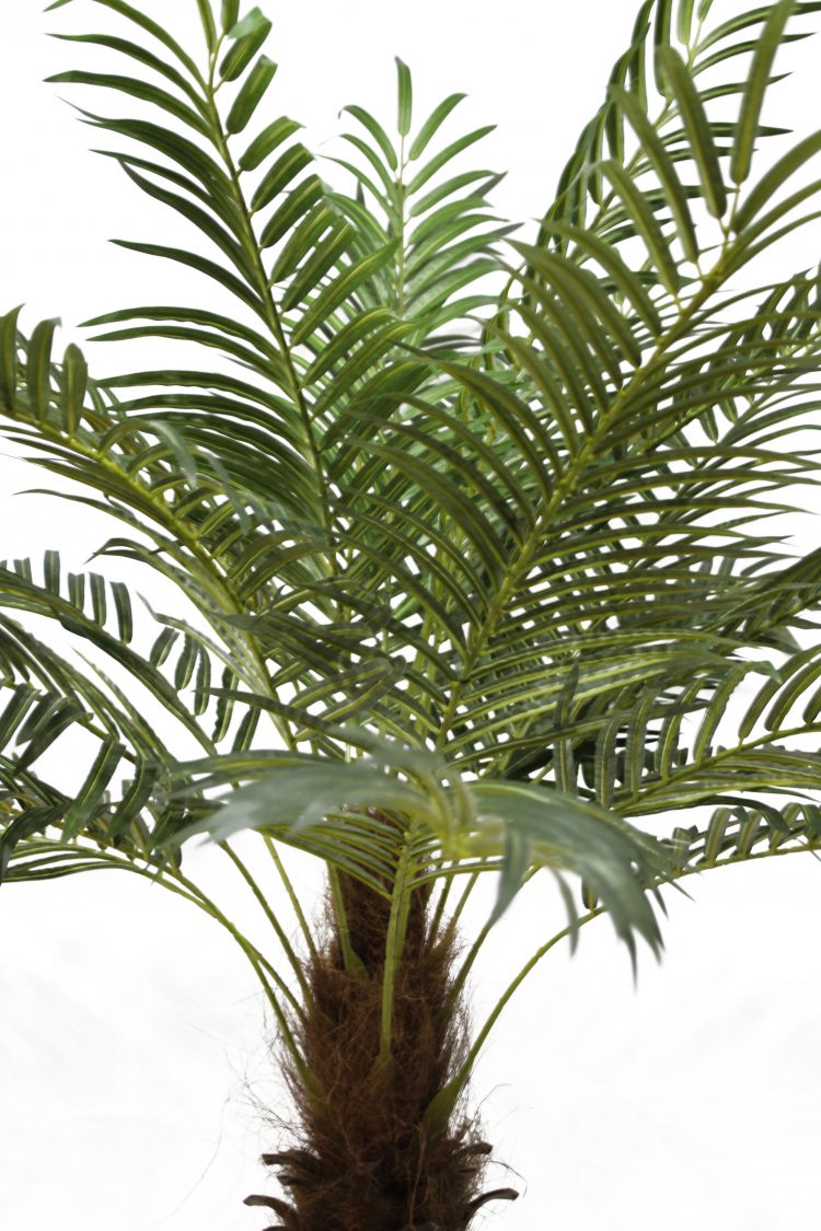 artificial Palm Tree