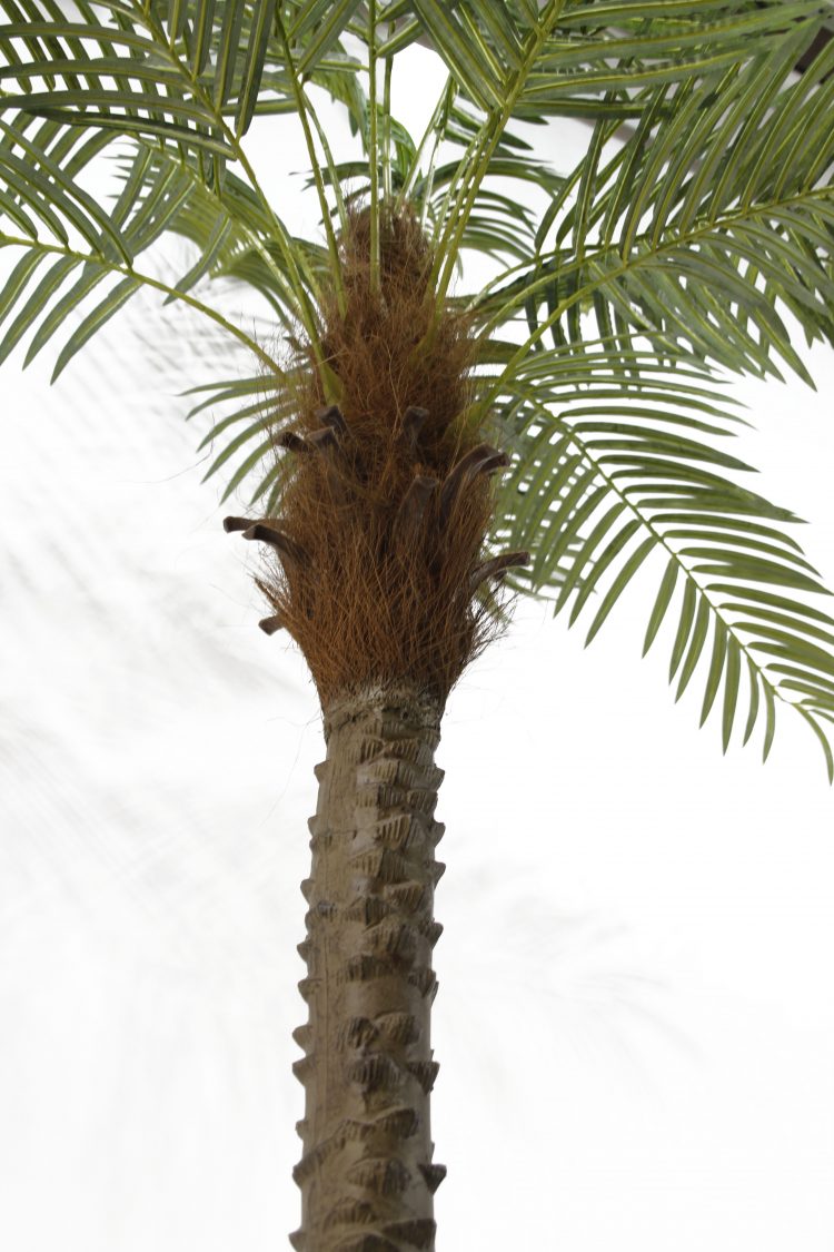 artificial Palm Tree
