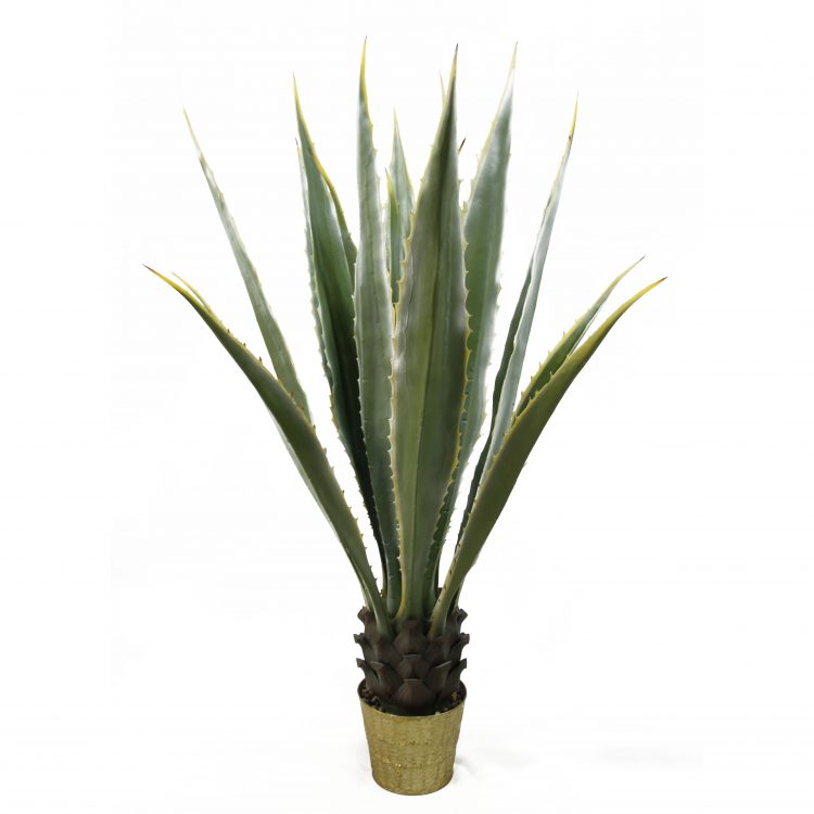 Artificial Agave