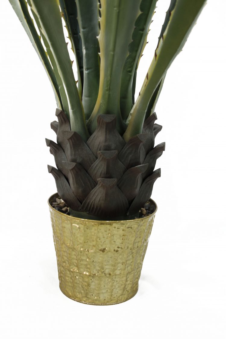 Artificial Agave