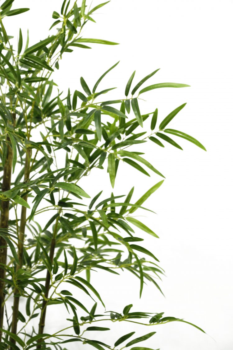 artificial bamboo tree