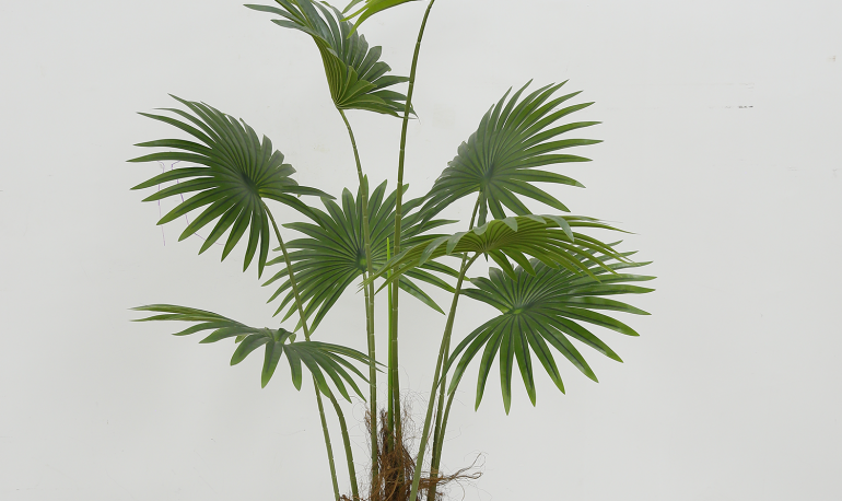 artificial Fan palm tree