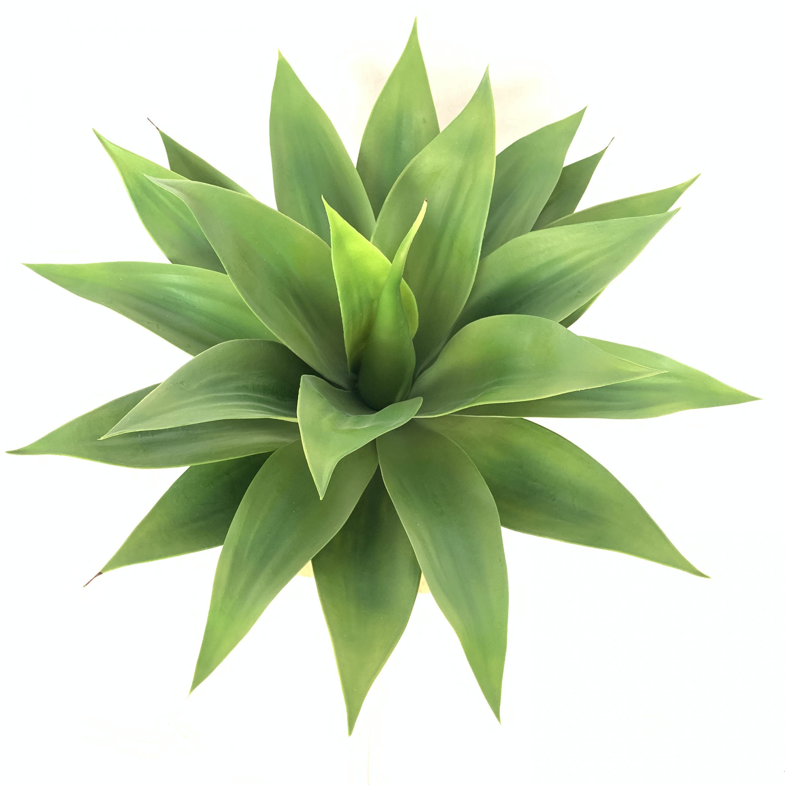 artificial agave 