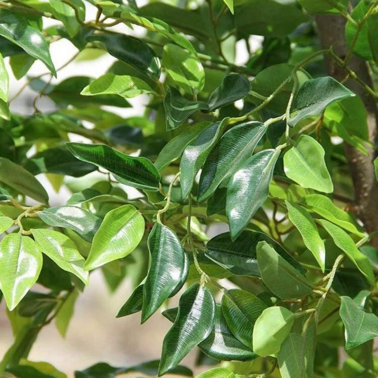 big artificial banyan tree