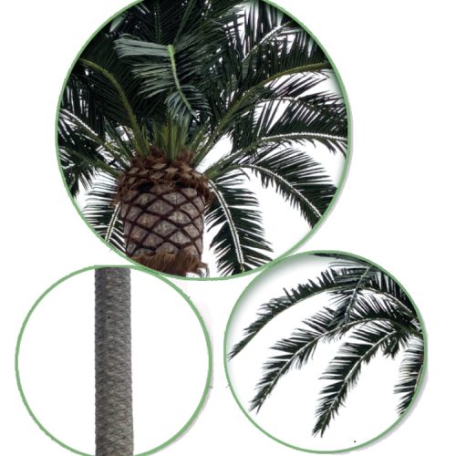 10M wind UV resistant moisture-proof big artificial coconut tree for garden outdoor decor
