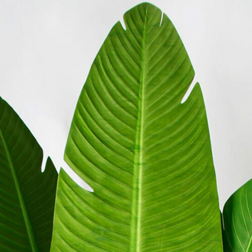 180cm 11 leaves Artificial Birds Of Paradise Plant