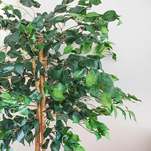 Custom Green Potted Plants Artificial Ficus Trees With Curved Trunk For Indoor Home Garden Decoration