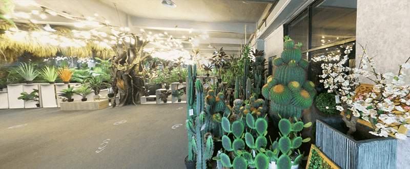 1- Display of artificial succulent plant areas