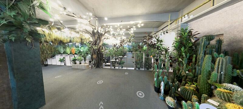 2- Display of artificial plant sample room areas