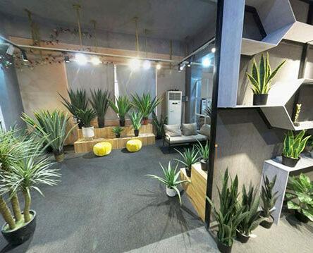 28-Display Of Artificial Aloe & Sisal & Cycas & Artificial Dragon Plant