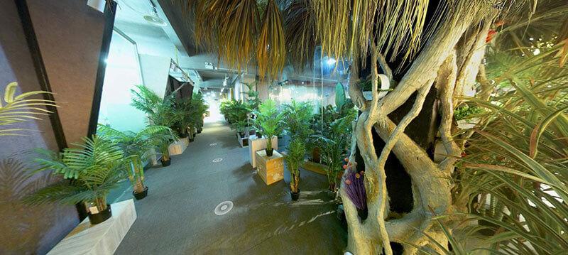 7- Display of Artificial Palm Tree