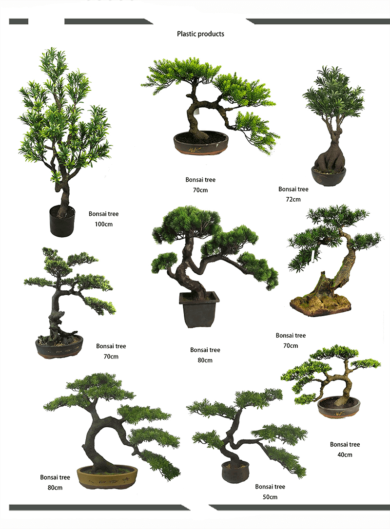 small bonsai tree