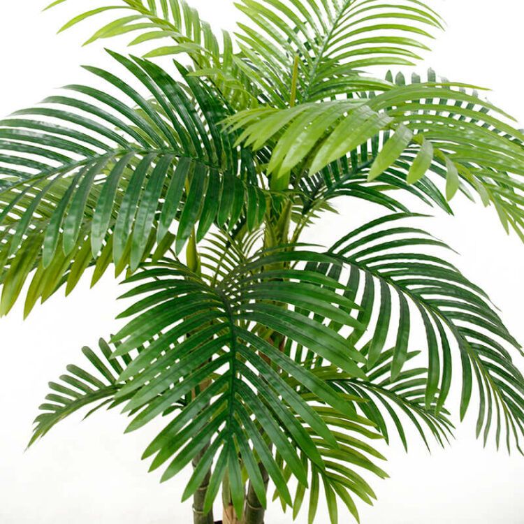 Fake Palm Plants