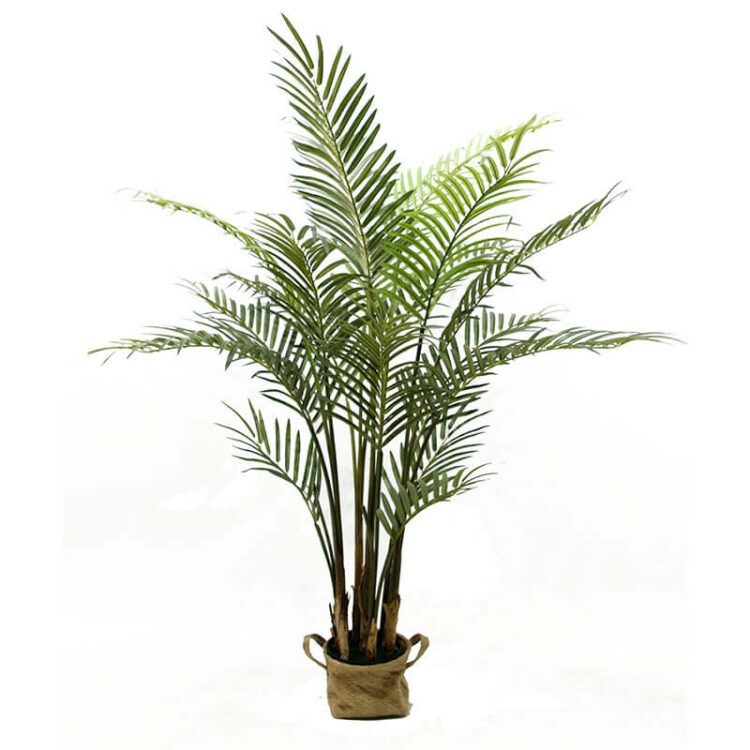 Indoor Artificial Palm Trees