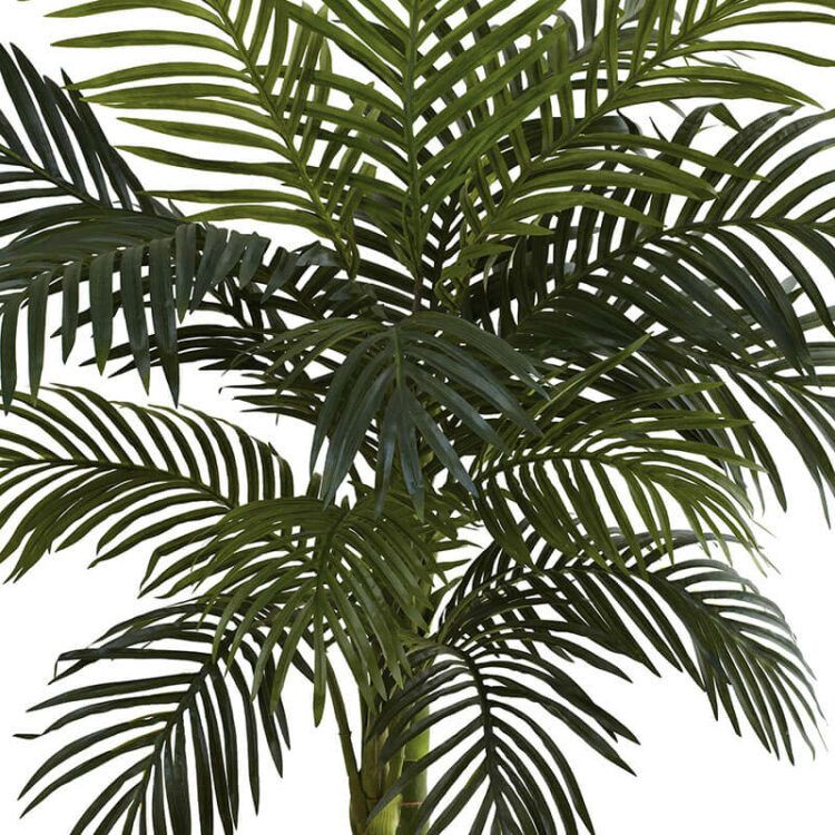 150cm Artificial Indoor Palm Tree - 图片 2
