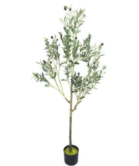 Olive Tree Faux