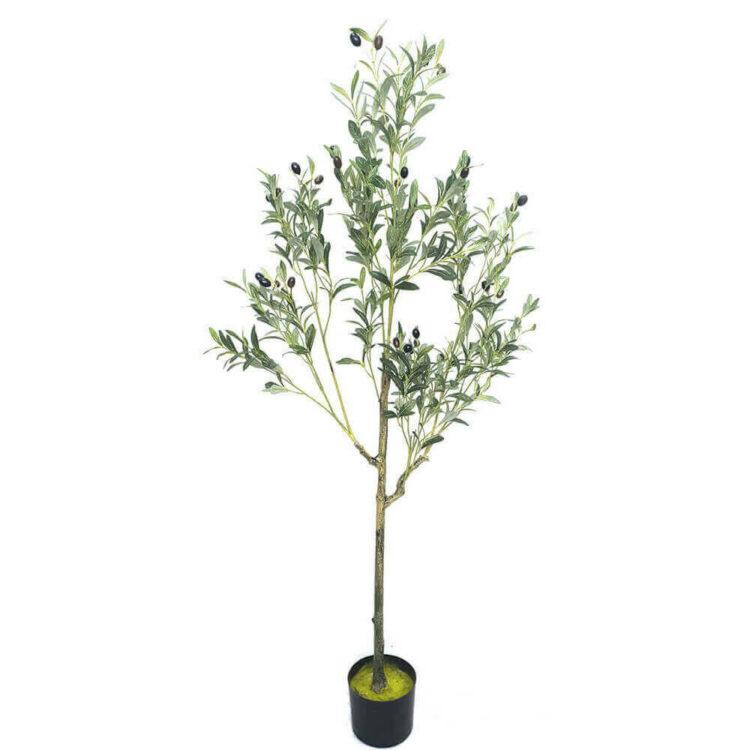 Olive Tree Faux