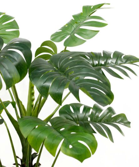 Fake Monstera Plants