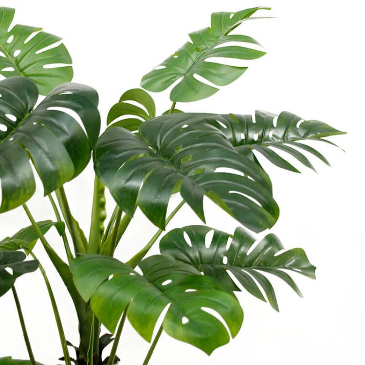 Fake Monstera Plants