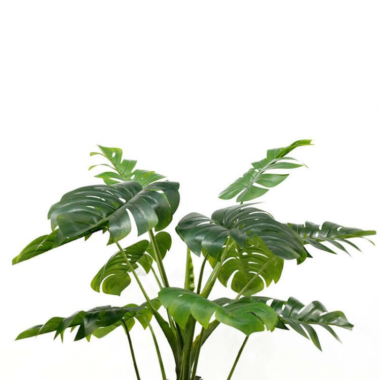 Fake Monstera Plants