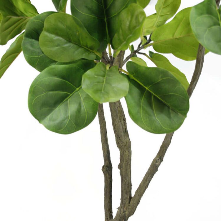 Faux Fiddle Leaf Plant