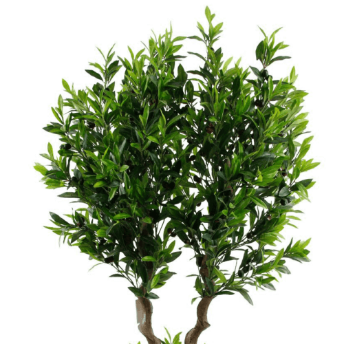 170cm Artificial Plants Faux Olive Tree