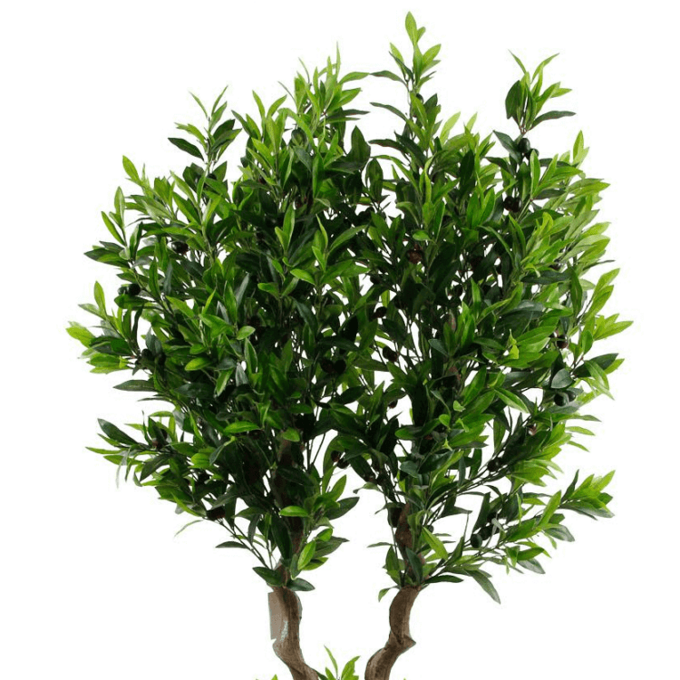 170cm Artificial Plants Faux Olive Tree - 图片 2