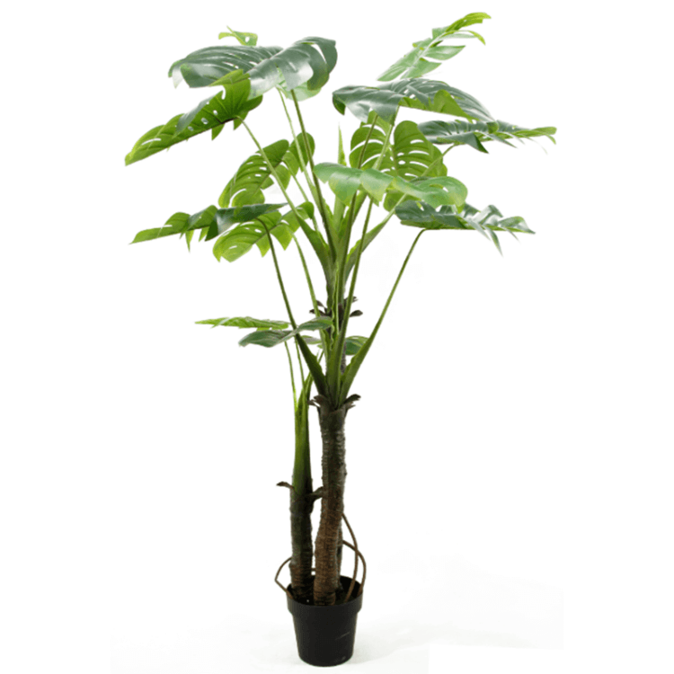 Artificial Monstera Plan