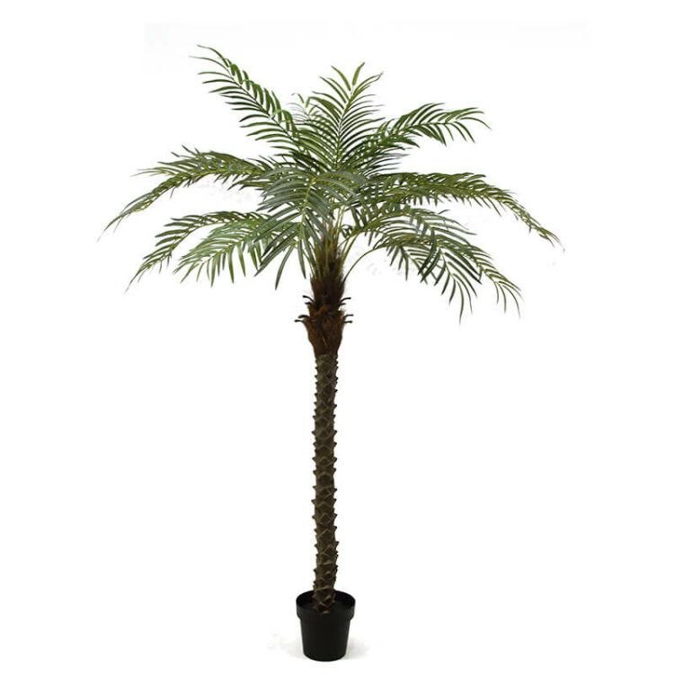 Artificial Palms