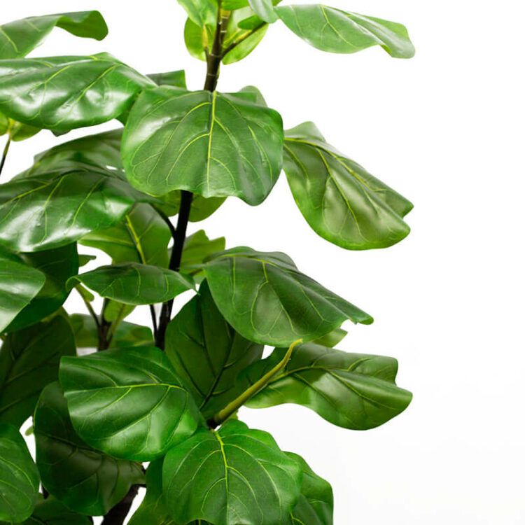 Artificial Plants Fiddle Leaf Fig