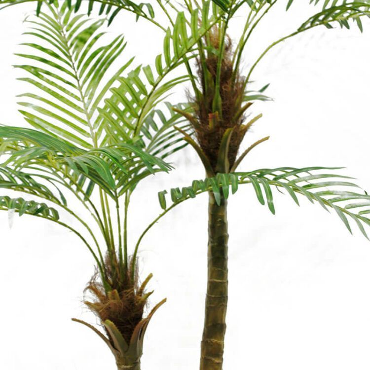 Outdoor Artificial Palm Trees