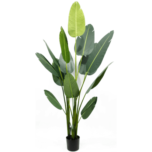 210cm 13 leaves Bird Of Paradise Artificial Plant