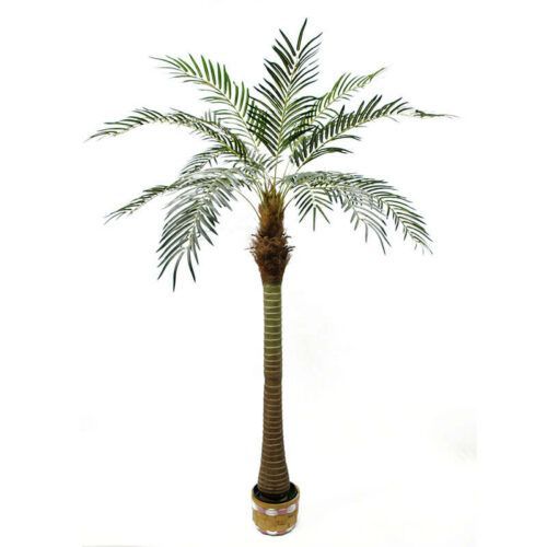 220cm 15 leaves Artificial Phoenix Palm Tree