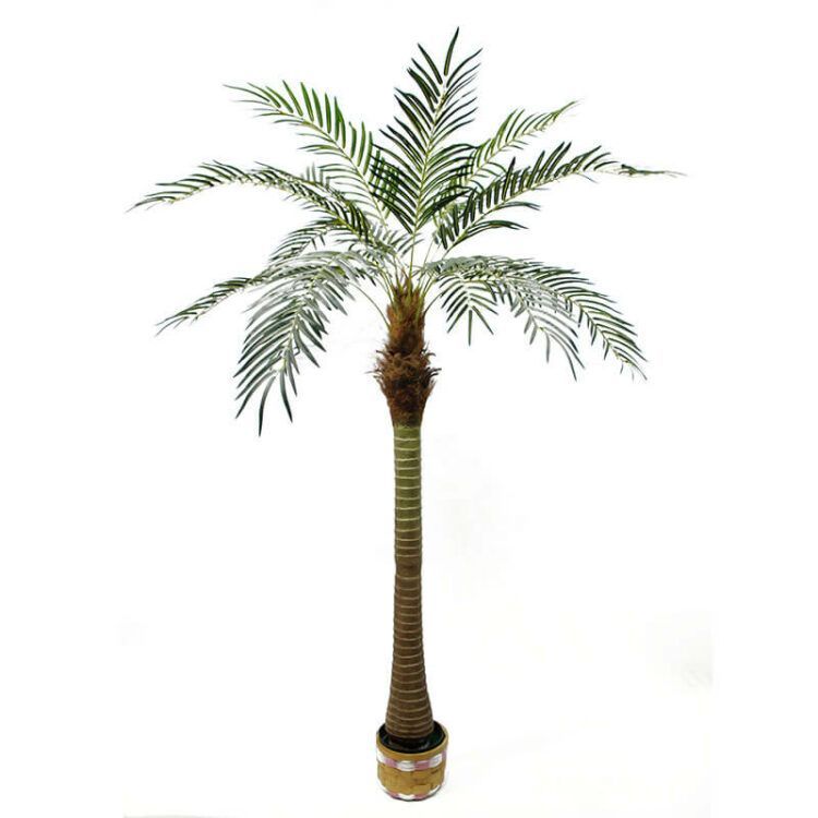 Artificial Phoenix Palm Tree