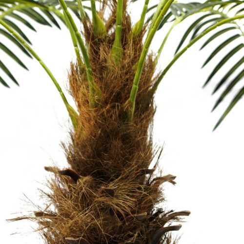 220cm 15 leaves Artificial Phoenix Palm Tree