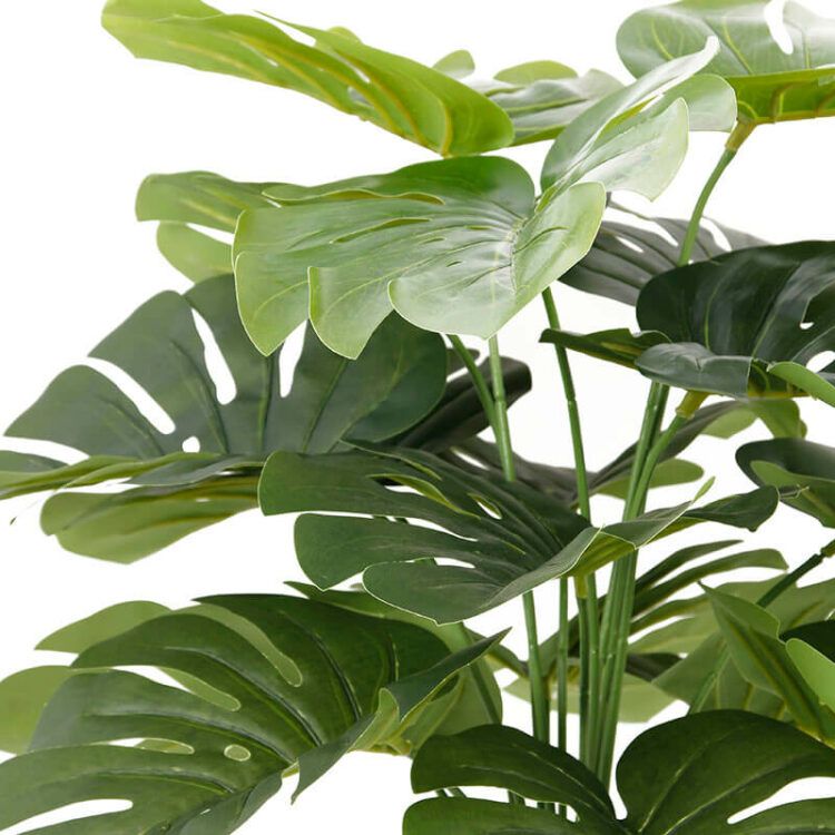 best fake monstera plants