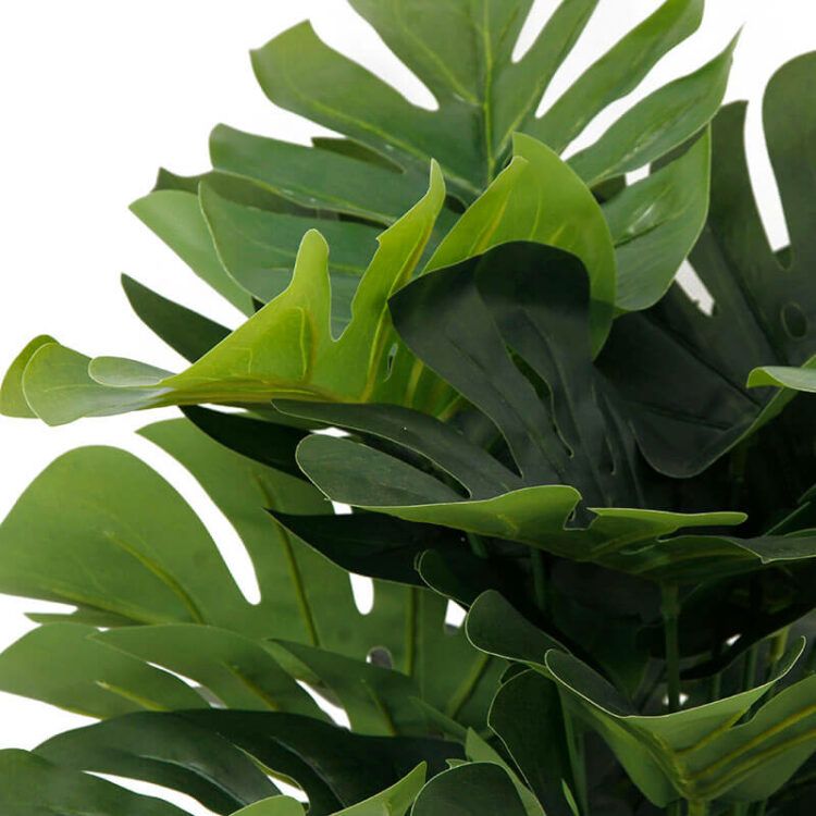 best fake monstera plants