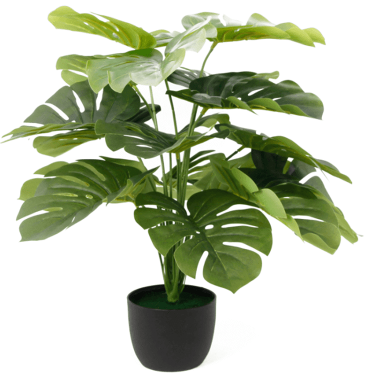 best fake monstera plants