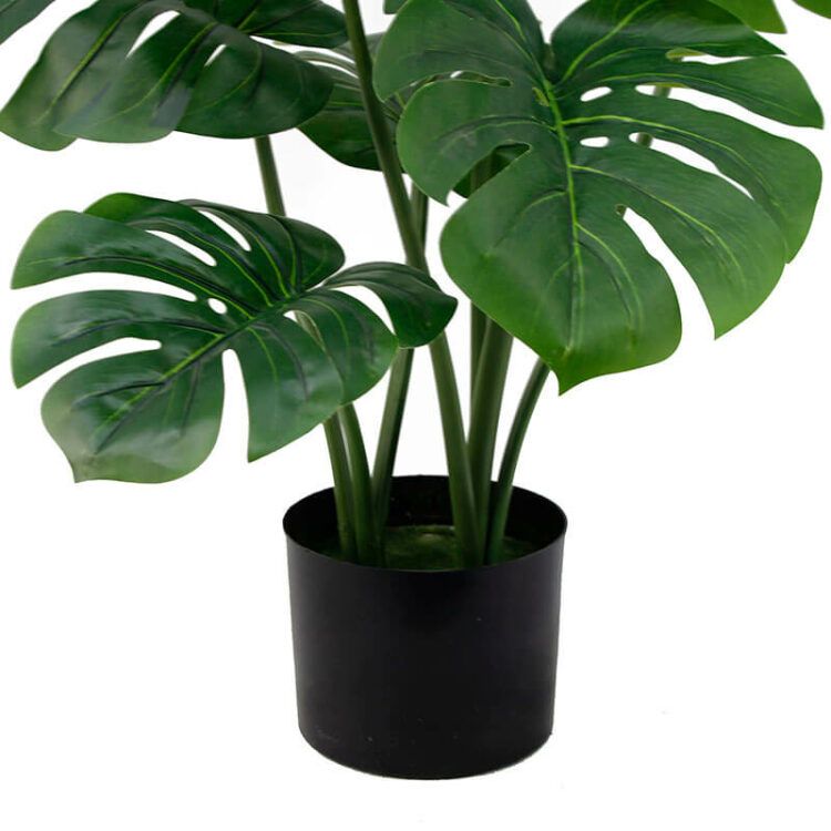 Best Fake Monstera Plant