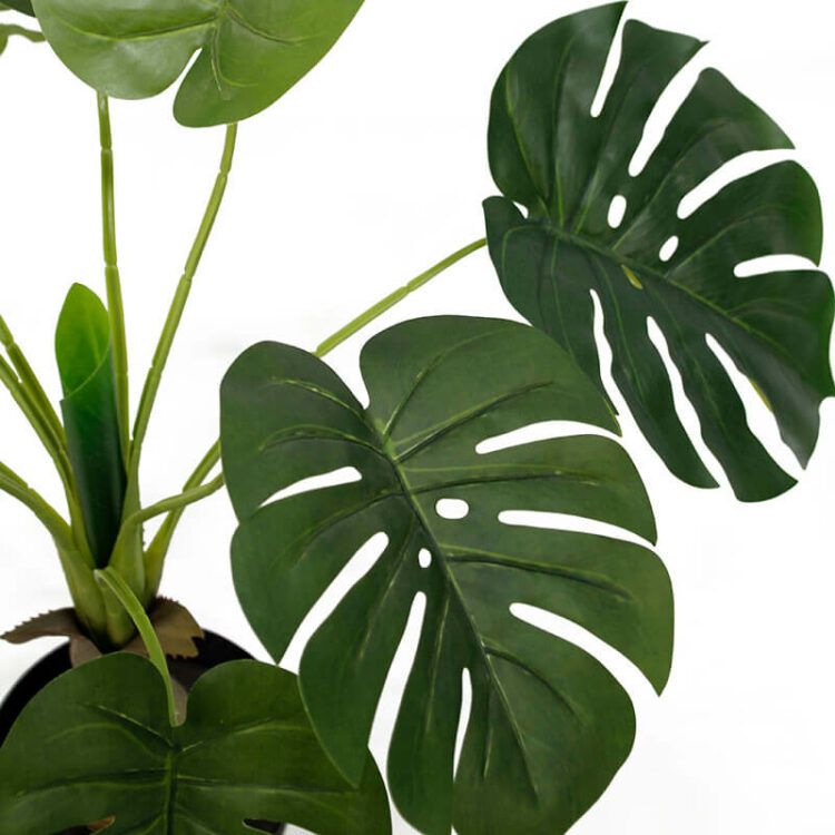 Artificial Plant Monstera