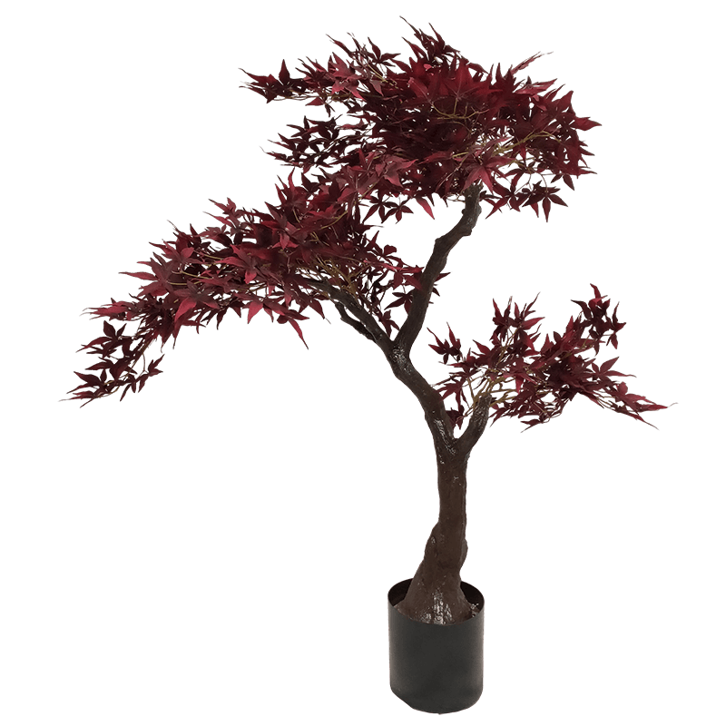 120cm Maple Red Tree