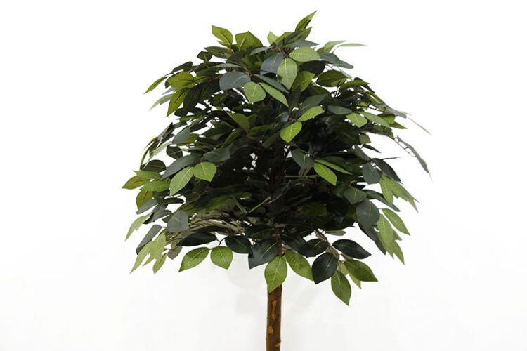 130cm Ficus Tree Artificial Plant - 图片 2
