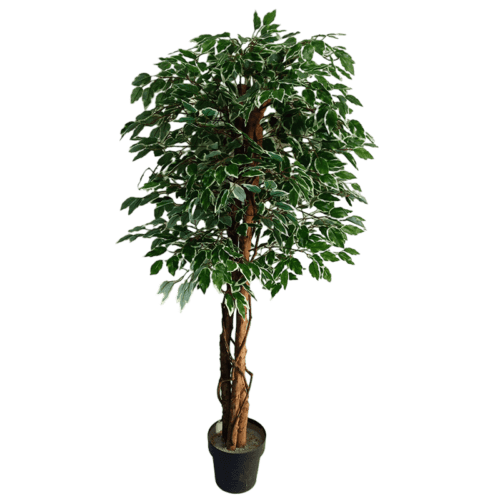 5 Ft Artificial Ficus Tree