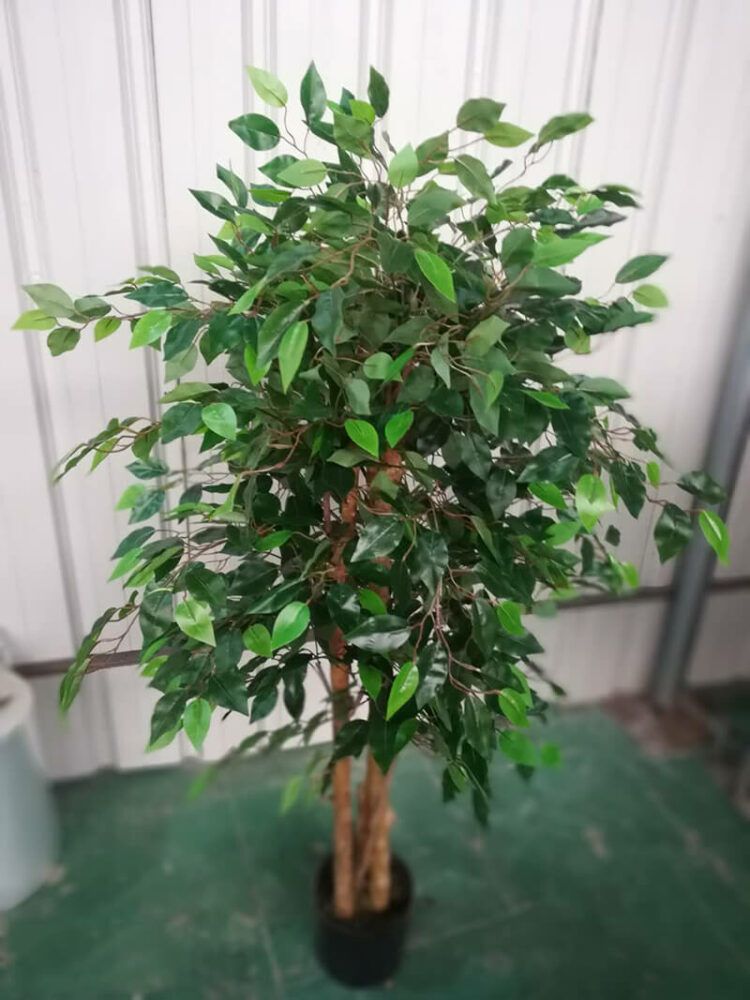 5 Ft Artificial Ficus Tree - 图片 2