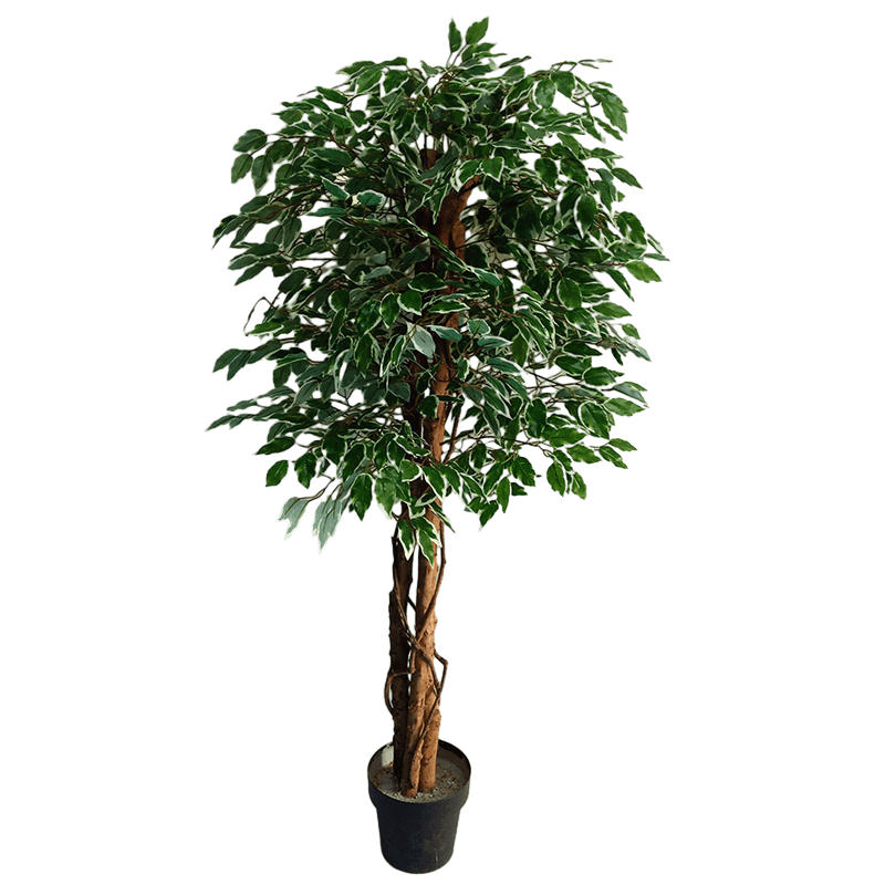 5 Ft Artificial Ficus Tree