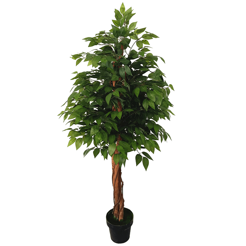 Artificial Ficus Tree 5ft 6ft 7ft - Sen Masine
