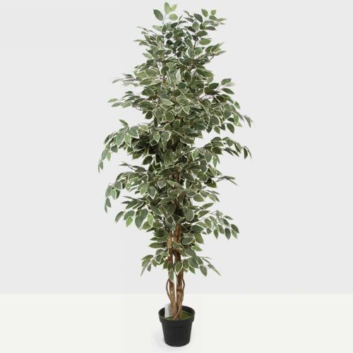 180cm Ficus Artificial Trees