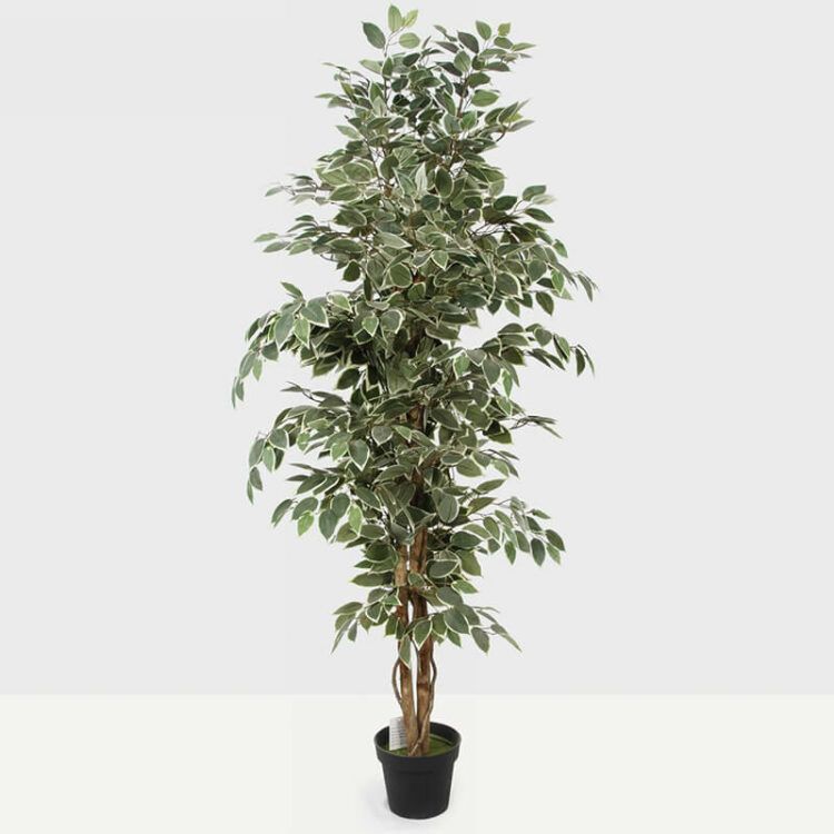 Ficus Artificial Trees