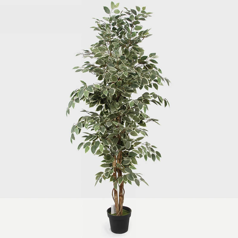 Ficus Artificial Trees