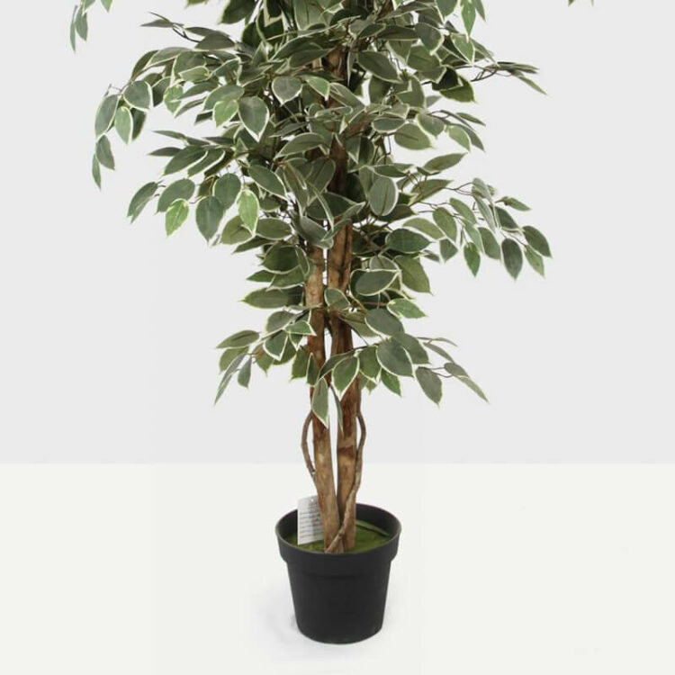 180cm artificial ficus tree (2)